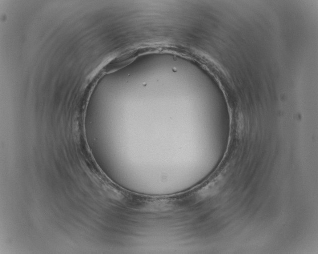 X0000074281162200609151845