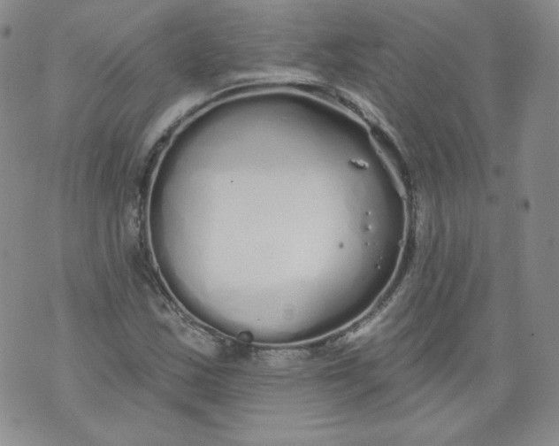 X0000074281163200609151845