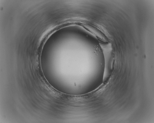 X0000074281164200609151845