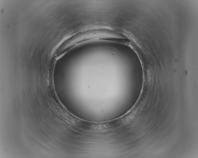 X0000074281165200609151845