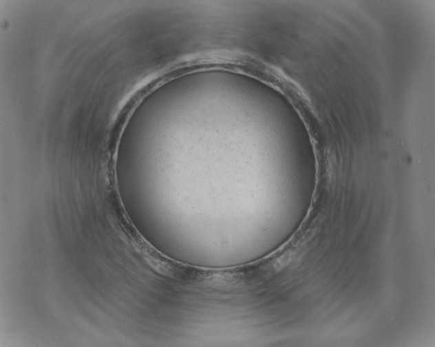 X0000074281166200609151844