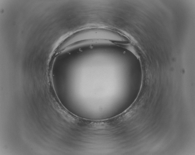 X0000074281168200609151844