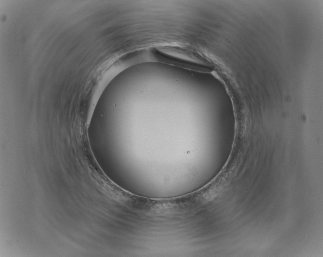 X0000074281169200609151844