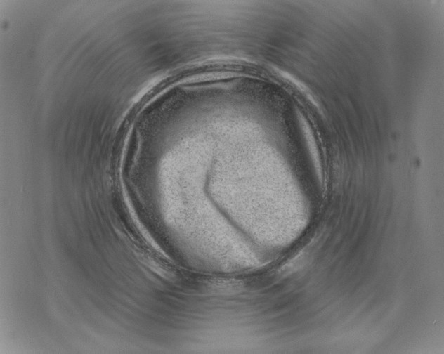 X0000074281170200609151844