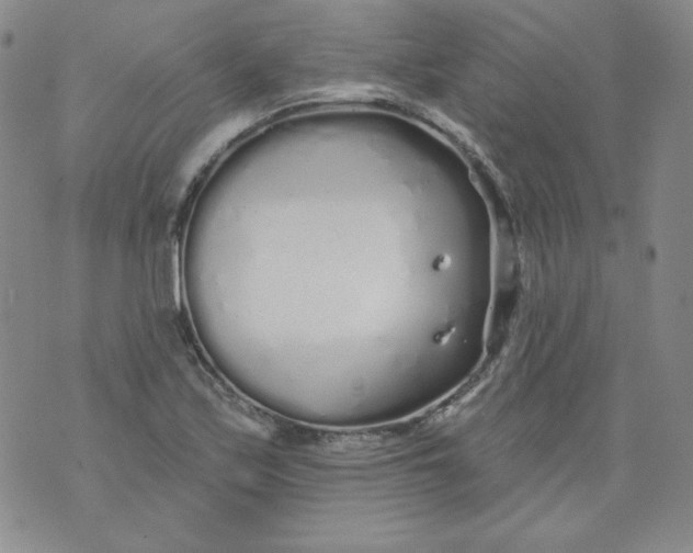 X0000074281171200609151844