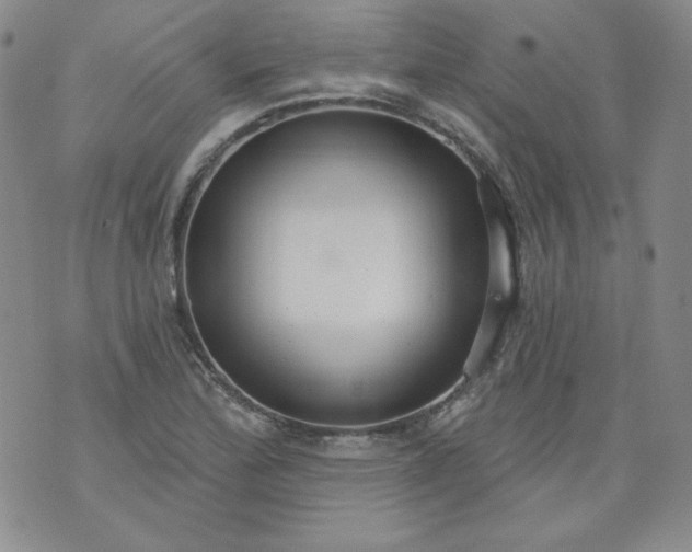 X0000074281172200609151844