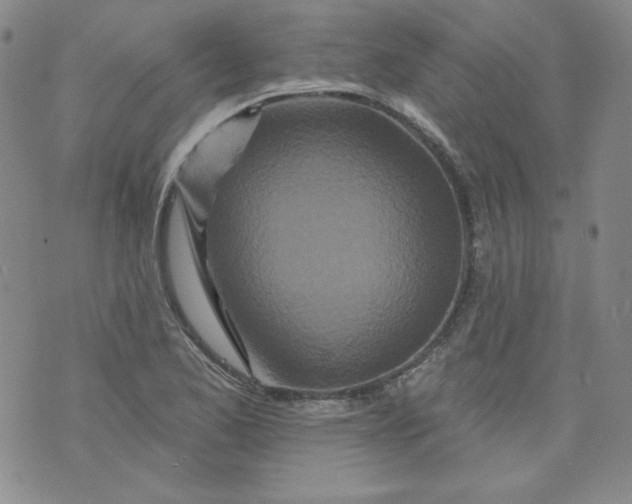 X0000074281173200609151844