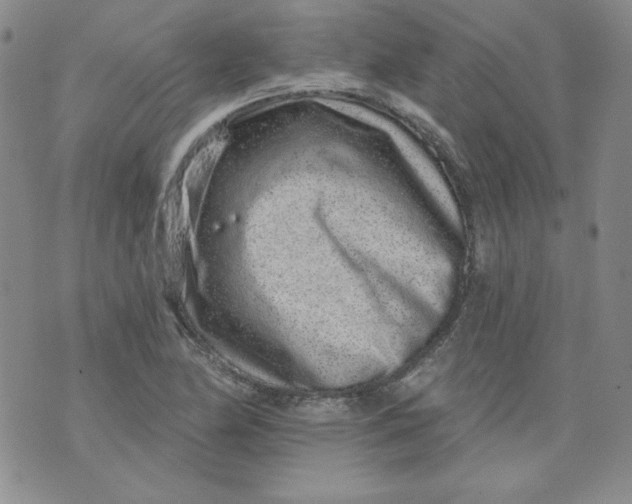 X0000074281174200609151844