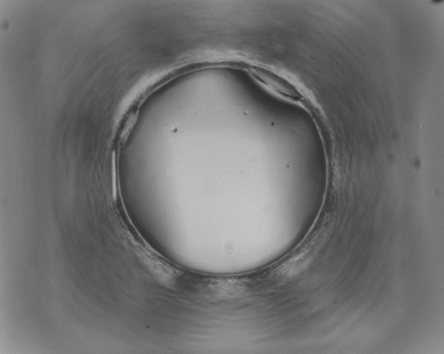 X0000074281175200609151844