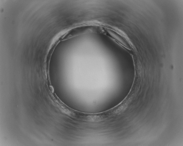 X0000074281176200609151844