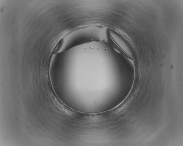 X0000074281177200609151844