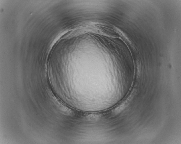 X0000074281178200609151844