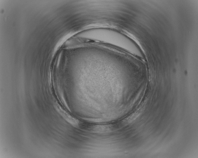 X0000074281179200609151844