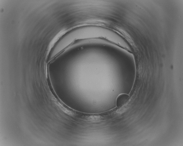 X0000074281180200609151844