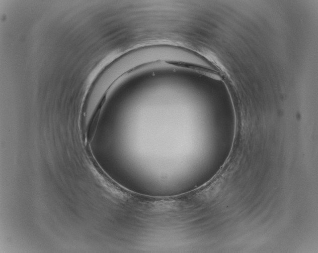 X0000074281181200609151844