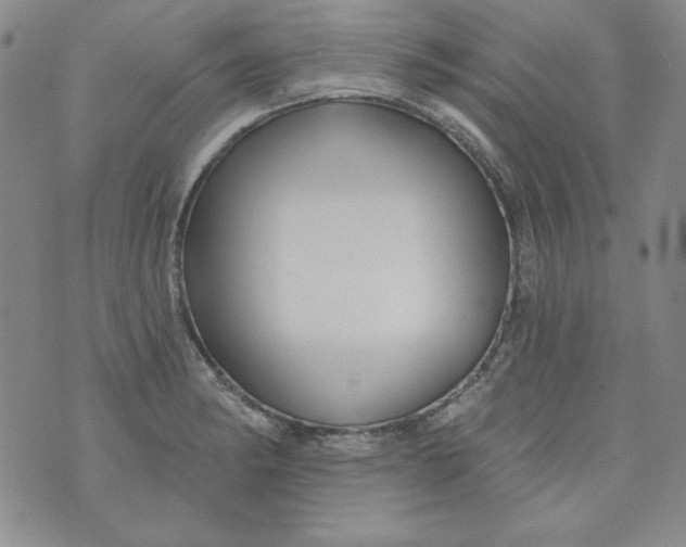 X0000074281182200609151844