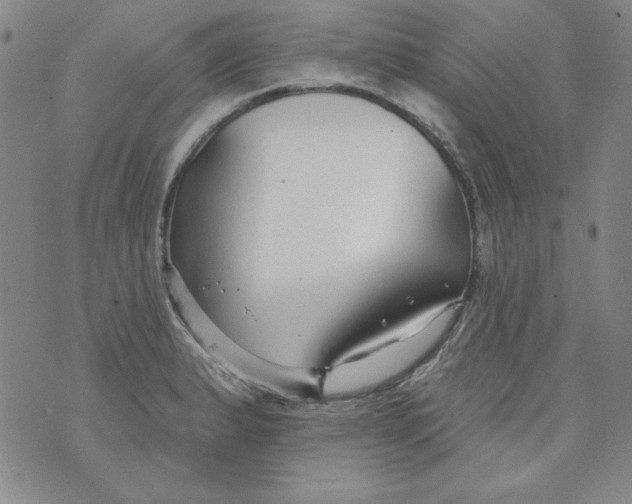 X0000074281183200609151844