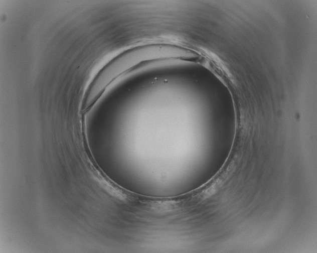 X0000074281184200609151844