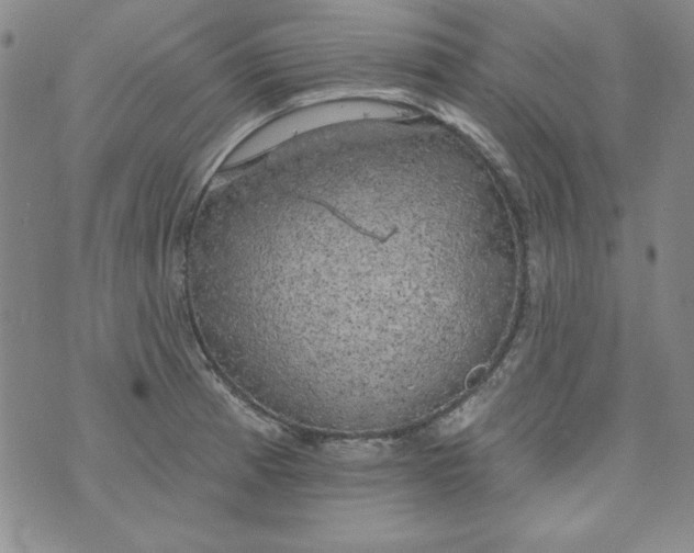 X0000074281185200609151844