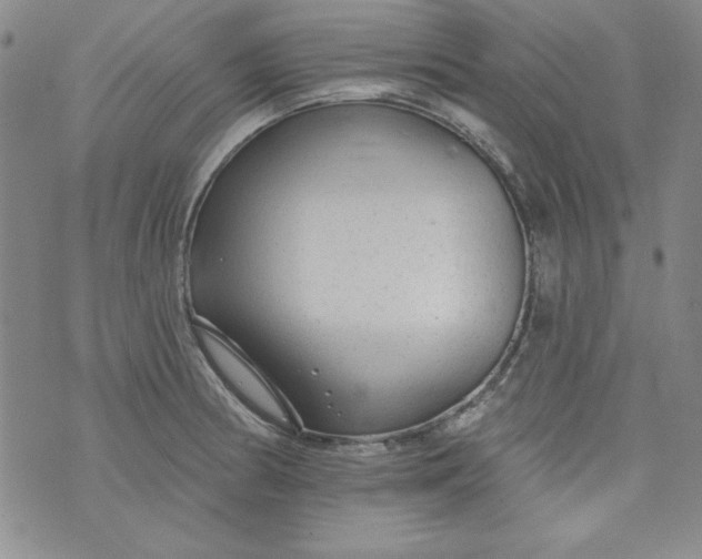 X0000074281186200609151844