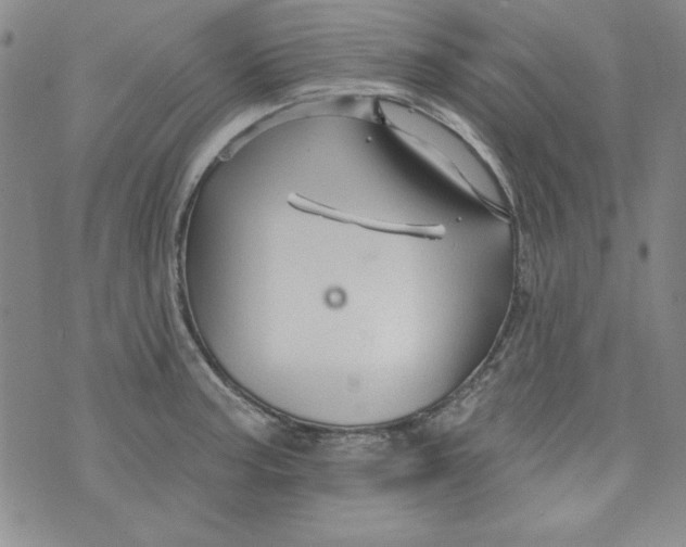 X0000074281187200609151844