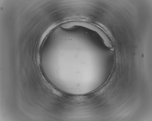 X0000074281188200609151844