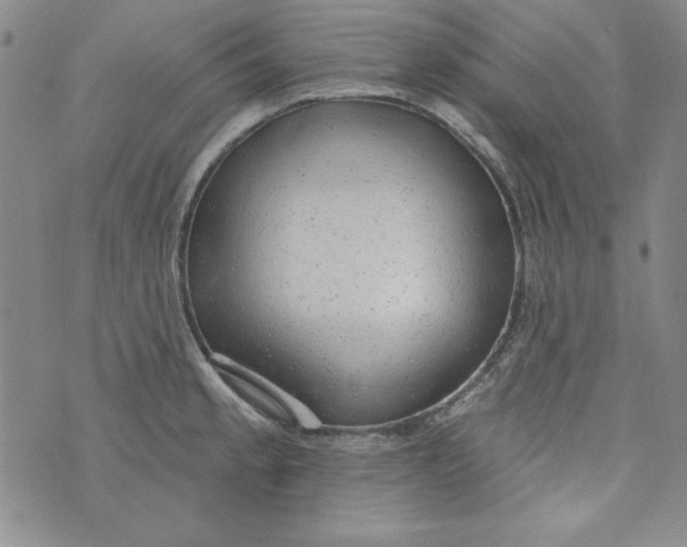 X0000074281189200609151844