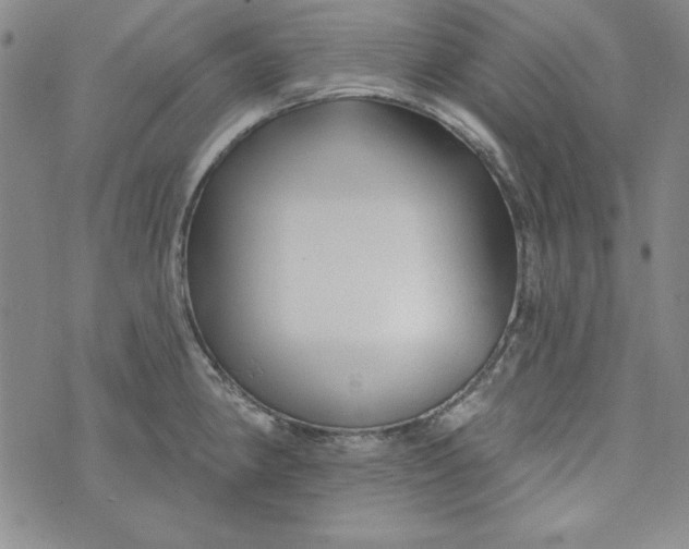 X0000074281190200609151844