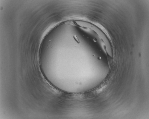 X0000074281191200609151844