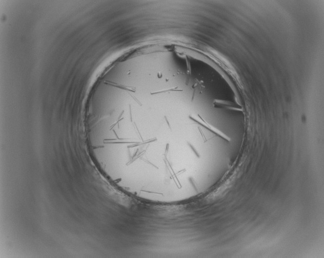 X0000074281192200609151844