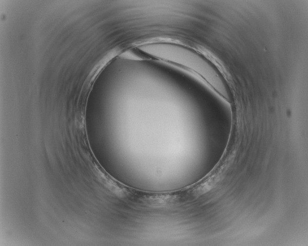 X0000074281193200609151844