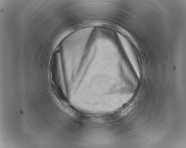 X0000074281194200609151844