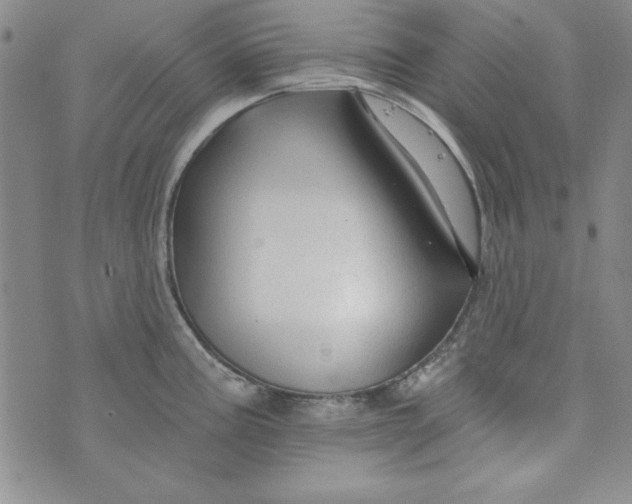 X0000074281195200609151844