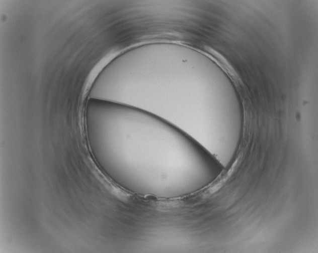 X0000074281196200609151844