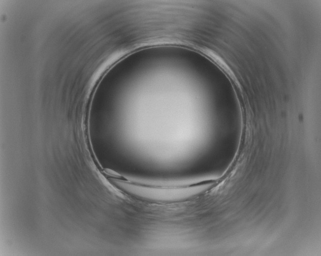 X0000074281197200609151844