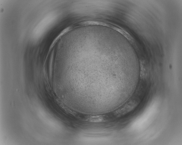 X0000074281198200609151844