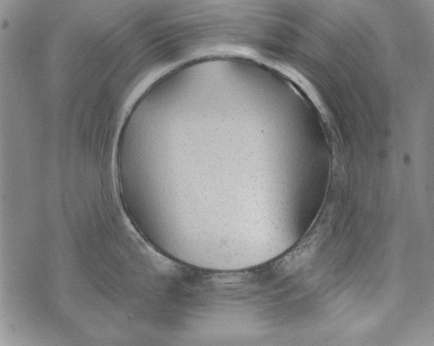 X0000074281199200609151844