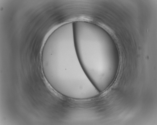 X0000074281200200609151844