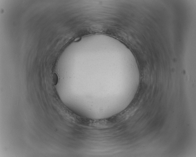 X0000074281201200609151843