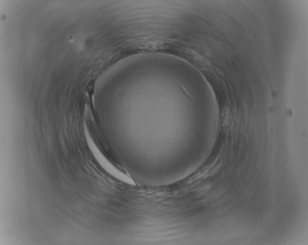 X0000074281202200609151843