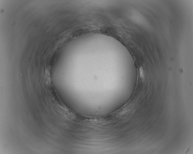 X0000074281203200609151843