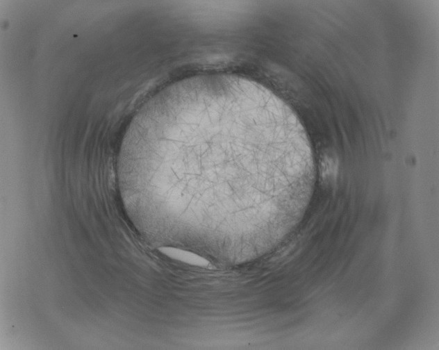 X0000074281204200609151843