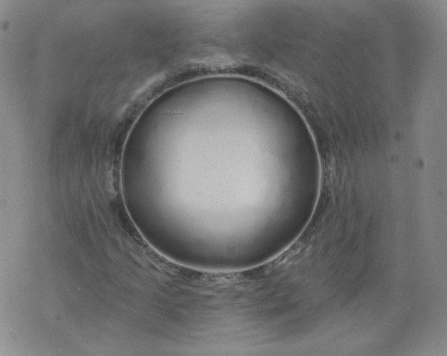 X0000074281205200609151843