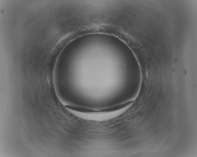 X0000074281206200609151843