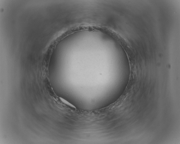 X0000074281207200609151843