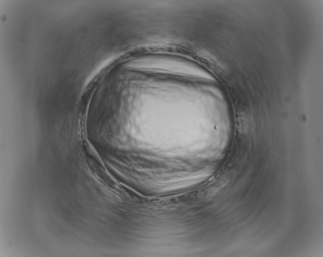 X0000074281208200609151843