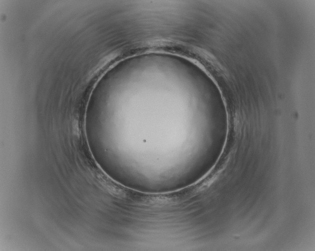 X0000074281209200609151843