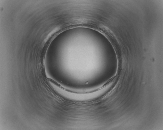 X0000074281210200609151843