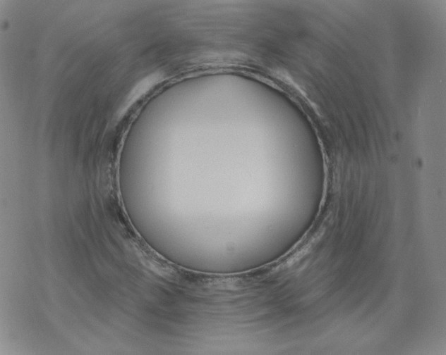 X0000074281211200609151843