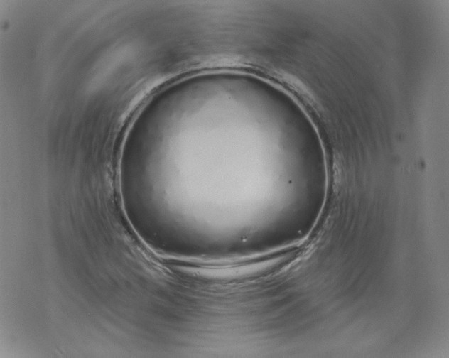 X0000074281212200609151843